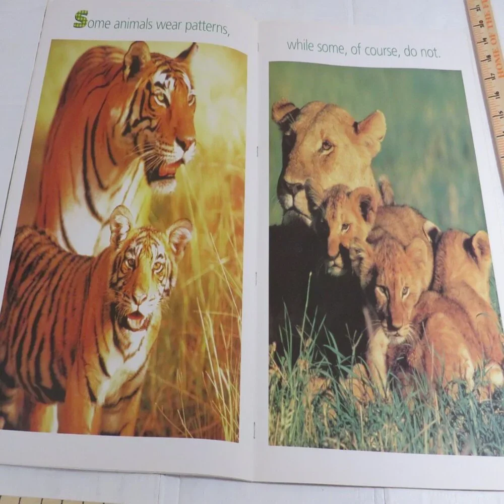 Patterns Everywhere BIG BOOK (almost 2 feet tall) with teacher pages CLASSROOM